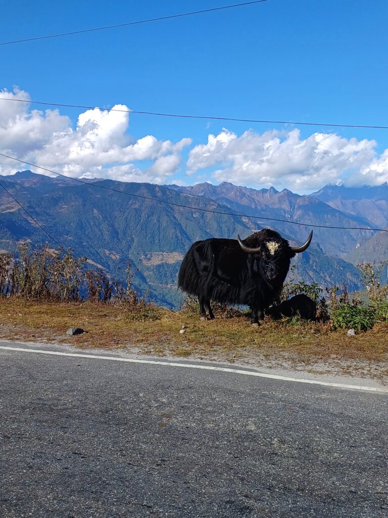 arunachal pradesh attractions - Recklesshubh