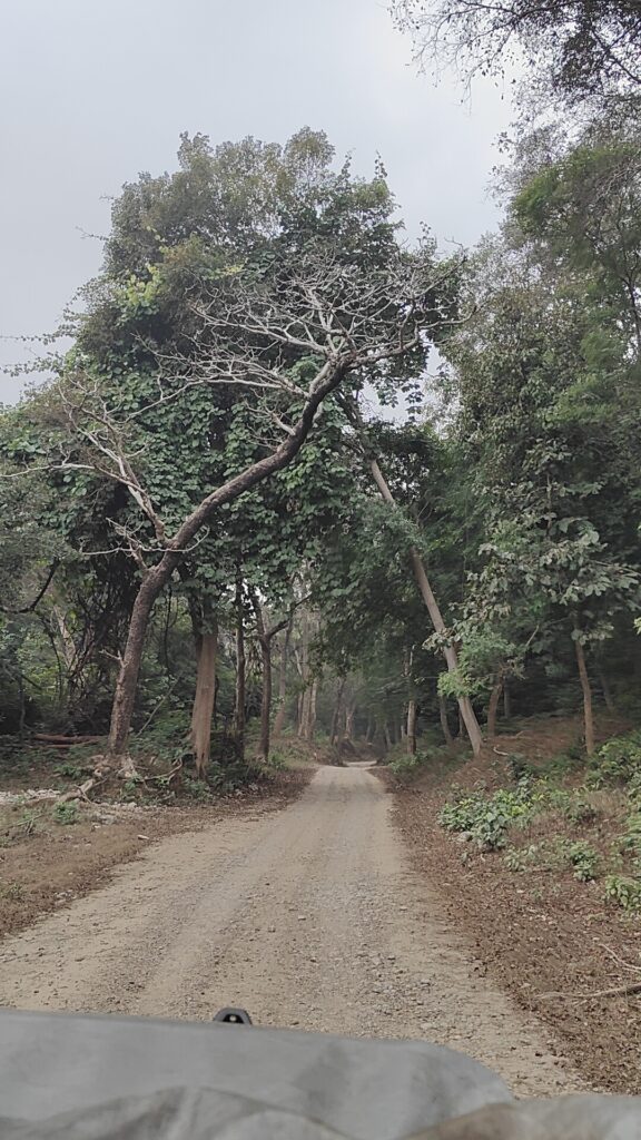 best-tourist-place-in- Uttarakhand - jim corbett